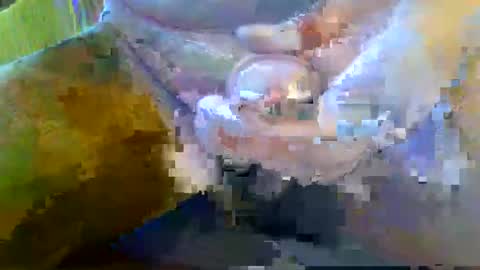 girafsnoop online show from September 28, 2025, 8:09 am