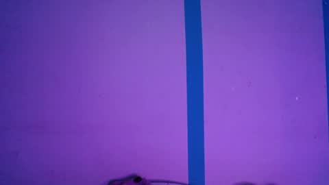 Alejandra online show from April 3, 2026, 6:44 am