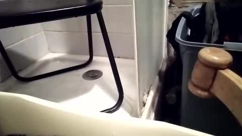 Snapshot of girlscallme666 chatting on December 1, 2025, 7:30 pm lovegirlscallme online show from December 1, 2025, 7:30 pm