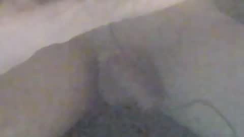 Snapshot of girlscallme666 chatting on January 12, 2026, 9:09 pm lovegirlscallme online show from January 12, 2026, 9:09 pm