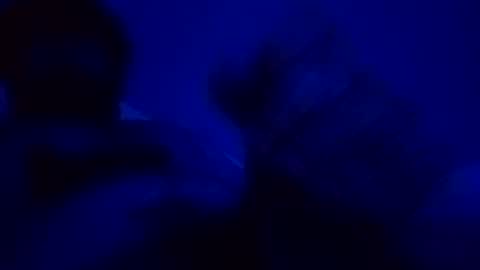 Snapshot of giuseppeciao206 chatting on December 15, 2025, 9:08 pm elen06 online show from December 15, 2025, 9:08 pm