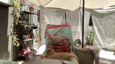 Gl1tter Barbie online show from November 22, 2025, 8:57 am