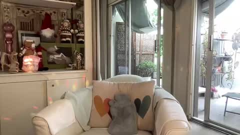 Gl1tter Barbie online show from November 26, 2025, 12:39 pm