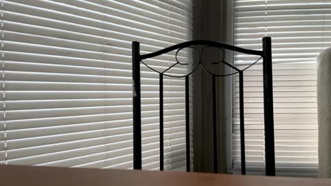 Snapshot of glazehoney chatting on January 10, 2025, 5:02 pm glazehoney online show from January 10, 2025, 5:02 pm