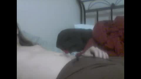 Snapshot of glitchingglob chatting on January 12, 2025, 3:17 am glitchingglob online show from January 12, 2025, 3:17 am