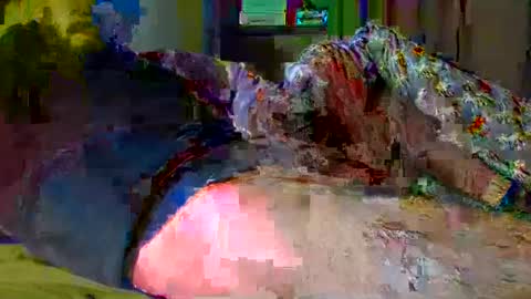 Snapshot of glls chatting on December 18, 2024, 5:10 pm guybuzz online show from December 18, 2024, 5:10 pm