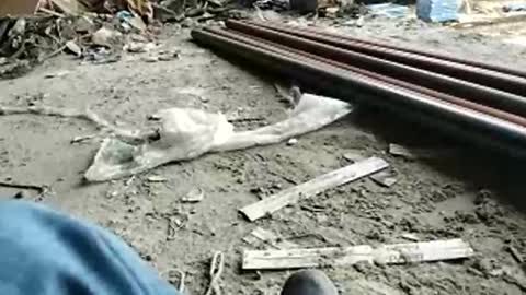 Snapshot of goal420 chatting on November 17, 2025, 1:50 pm goal420 online show from November 17, 2025, 1:50 pm