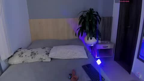 DIOSA online show from April 17, 2026, 11:57 am