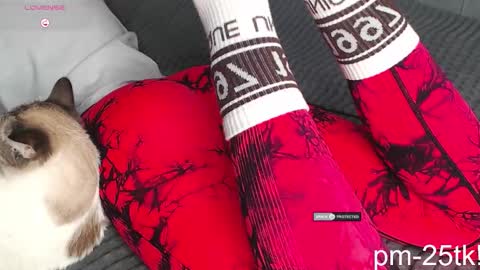 Goddess EmmaBratt princess online show from February 3, 2026, 1:49 pm