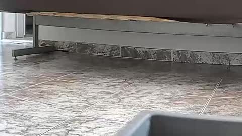 Snapshot of goddesshannahfeet_ chatting on April 7, 2026, 4:40 pm goddesshannahfeet_ online show from April 7, 2026, 4:40 pm