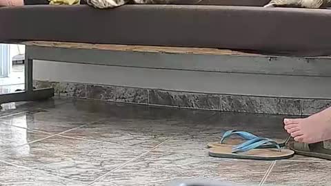 Snapshot of goddesshannahfeet_ chatting on April 13, 2026, 4:45 pm goddesshannahfeet_ online show from April 13, 2026, 4:45 pm