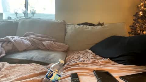 GoddessMayvn online show from December 29, 2024, 4:40 pm