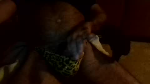 Snapshot of gojo885 chatting on January 13, 2025, 3:23 am gojo885 online show from January 13, 2025, 3:23 am