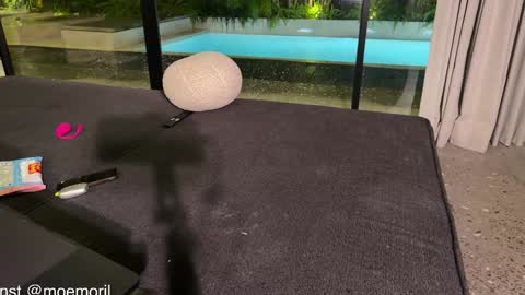 Snapshot of golden_alinee chatting on February 22, 2026, 2:04 pm Aline meow online show from February 22, 2026, 2:04 pm