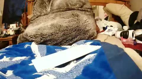 Snapshot of goodbootaye chatting on December 27, 2024, 6:10 pm Juicy Booty online show from December 27, 2024, 6:10 pm