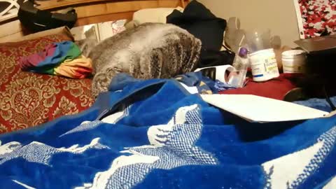 Snapshot of goodbootaye chatting on December 28, 2024, 3:59 pm Juicy Booty online show from December 28, 2024, 3:59 pm