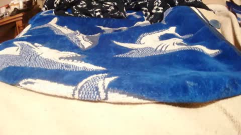 Snapshot of goodbootaye chatting on January 10, 2025, 3:37 pm Juicy Booty online show from January 10, 2025, 3:37 pm