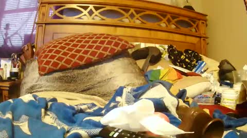 Snapshot of goodbootaye chatting on January 18, 2025, 6:53 pm Juicy Booty online show from January 18, 2025, 6:53 pm