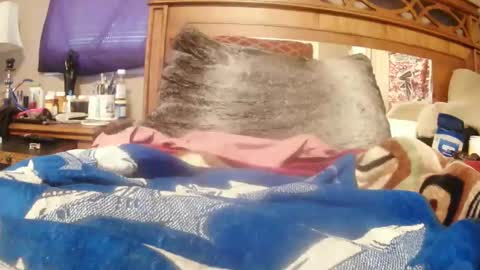 Snapshot of goodbootaye chatting on February 23, 2025, 2:46 pm Juicy Booty online show from February 23, 2025, 2:46 pm