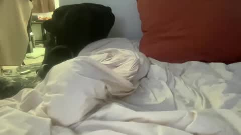 Snapshot of goodparker chatting on October 8, 2025, 2:31 am goodparker online show from October 8, 2025, 2:31 am