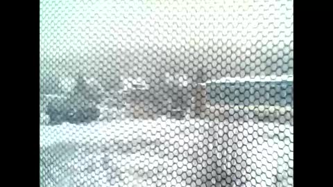 google5001 online show from January 11, 2026, 7:57 am