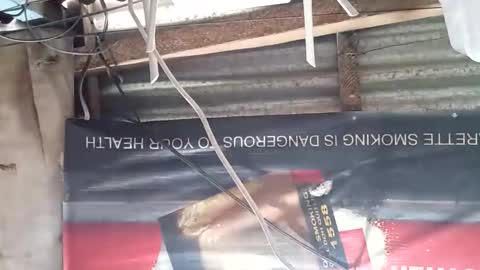 GorgeousPinay babe online show from November 22, 2025, 11:37 pm