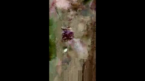 grabisz30 online show from May 11, 2026, 3:29 pm