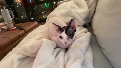 Gracie Mae online show from December 23, 2025, 3:48 am