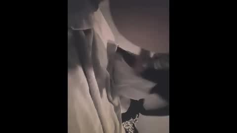 greekprince77 online show from December 2, 2025, 12:21 pm