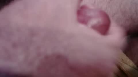 Snapshot of gregburns chatting on January 18, 2025, 4:31 pm Greg online show from January 18, 2025, 4:31 pm