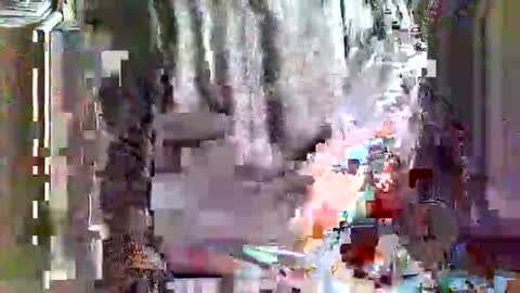 greyhounddog online show from April 4, 2026, 9:29 am