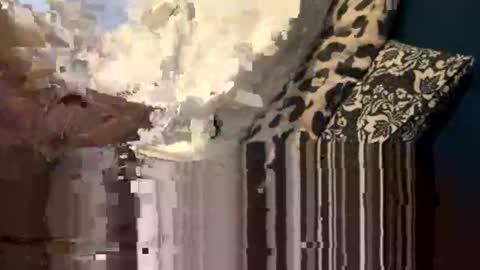 Snapshot of greymen2020 chatting on February 16, 2026, 6:04 pm greymen2020 online show from February 16, 2026, 6:04 pm