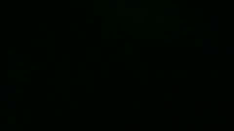 growerboy25 online show from January 15, 2026, 5:16 pm