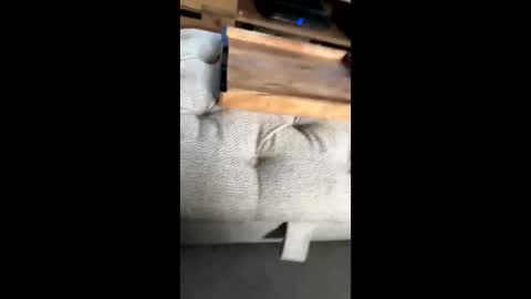 Snapshot of gt79802068 chatting on November 22, 2025, 12:04 pm gt79802068 online show from November 22, 2025, 12:04 pm