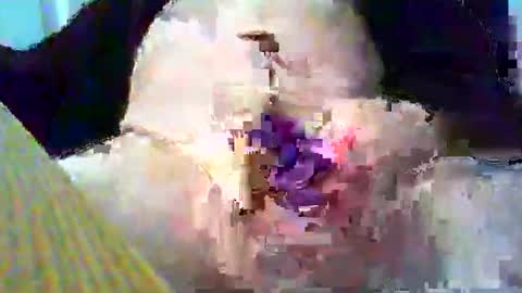 Gary online show from January 26, 2025, 3:58 pm