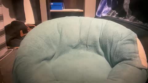 gumbywanna online show from January 6, 2026, 11:51 pm