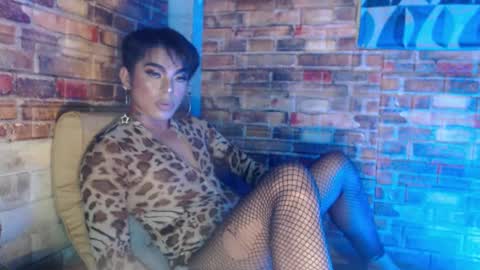 Snapshot of hadasam26 chatting on December 15, 2024, 2:59 pm SAM online show from December 15, 2024, 2:59 pm