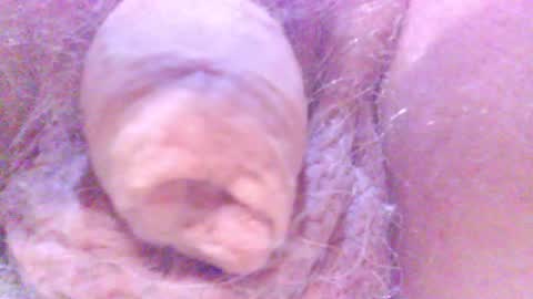 hagridthehorrible online show from February 5, 2025, 12:53 am