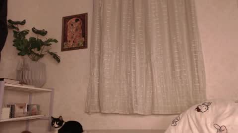 Snapshot of haidyhaven chatting on June 11, 2026, 2:53 am haidyhaven online show from June 11, 2026, 2:53 am