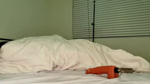 Snapshot of hailwilds chatting on February 18, 2026, 11:33 pm HailWilds online show from February 18, 2026, 11:33 pm