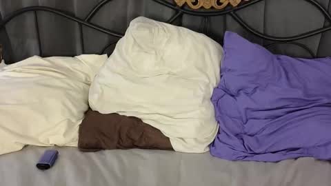 Snapshot of haily_braind chatting on February 3, 2026, 2:53 am Lylu online show from February 3, 2026, 2:53 am