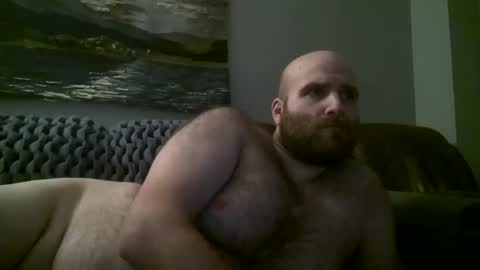 Hairiest Bear online show from January 11, 2025, 9:47 am