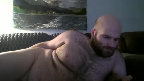 Hairiest Bear online show from January 15, 2025, 3:11 am