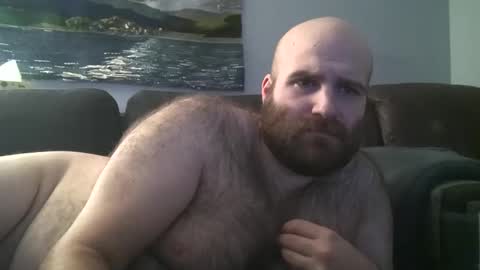 Hairiest Bear online show from January 30, 2025, 6:03 am