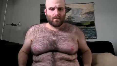 Hairiest Bear online show from February 17, 2025, 7:42 pm