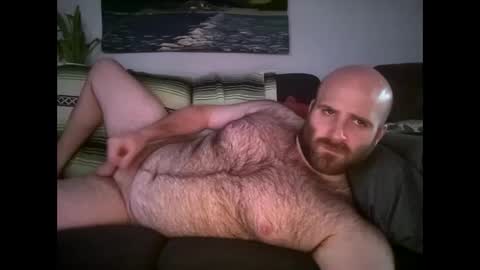 Hairiest Bear online show from April 22, 2026, 11:39 pm
