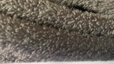 J  M online show from March 8, 2025, 4:56 am