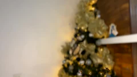 Independent       model  online show from December 30, 2024, 2:42 am