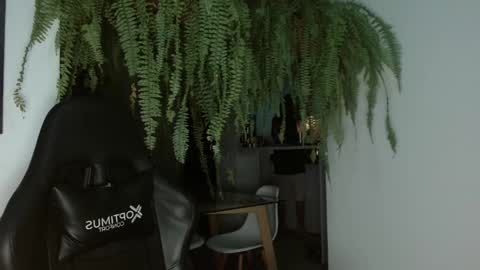 halan online show from February 26, 2025, 6:47 am