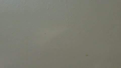 hamhead71 online show from February 7, 2025, 1:36 am